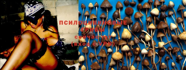 шишки Карталы