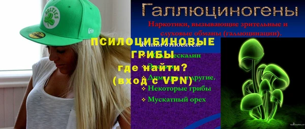 дживик Карпинск