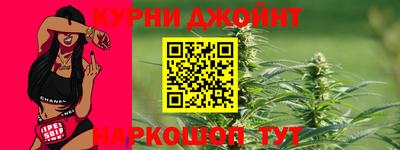прущие грибы Канаш