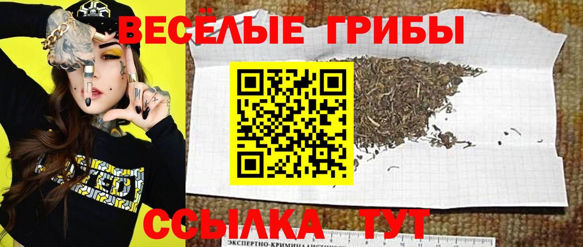 Галлюциногенные грибы MAGIC MUSHROOMS Костомукша